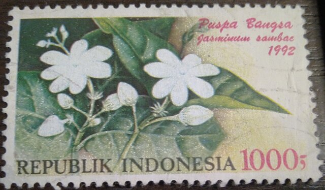 Жасмин самбак на почтовой марке Индонезии. 1992 г.