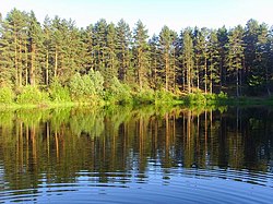 دریاچه Ryazanovo ، منطقه Sosnovsky