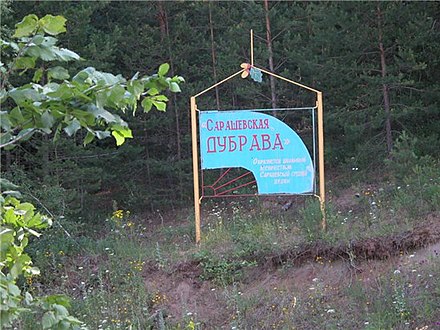 Дубрава татарка. Сараши Дубрава. Сараши Бардымский район. Село Сараши Пермский край. Природа Бардымского района.