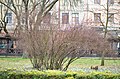 Сквер ім. Шевченка в Тернополі. Фото 1.jpg