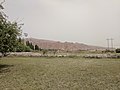 grassland in Oytak