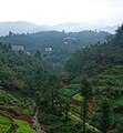 墓地远景（蓝色大棚处为安丙家族墓地）