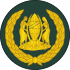 06-Tanzania Army-WO1.svg