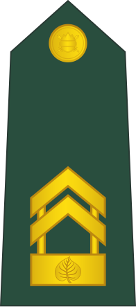File:09-Slovenian Army-SGM.svg