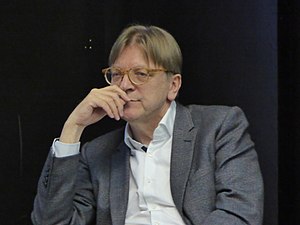 Guy Verhofstadt: Biografia, Carriera politica, Dopo il governo