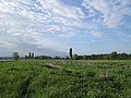 Wasserflächen als ideales Brutgebiet für z.T. seltene Vogelarten