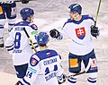 Men's national ice hockey team with the coat of arms in dresses