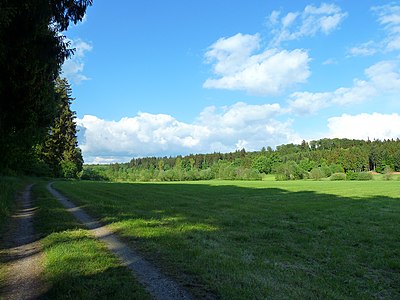 Dirt roads, edge of the woods (Upper Swabia)