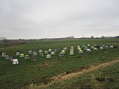 44 helmets symbolising the German occupation during the First World War 44 helmets.jpg