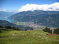 Vue sur Interlaken et le lac de Thoune depuis le tracé de la Schynige Platte