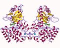 Vignette pour GMP-AMP cyclique synthase