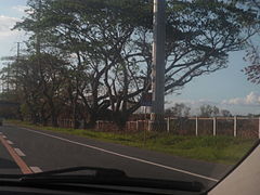 AH26 sign past ETON City/Asian Brewery Exit