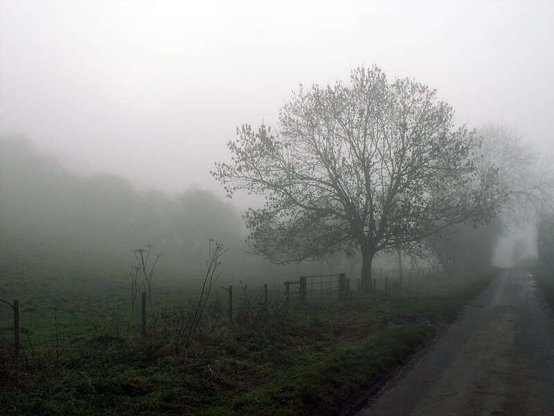 File:A December view of Woodnook Valley, Little Ponton, Lincolnshire, England 01.JPG