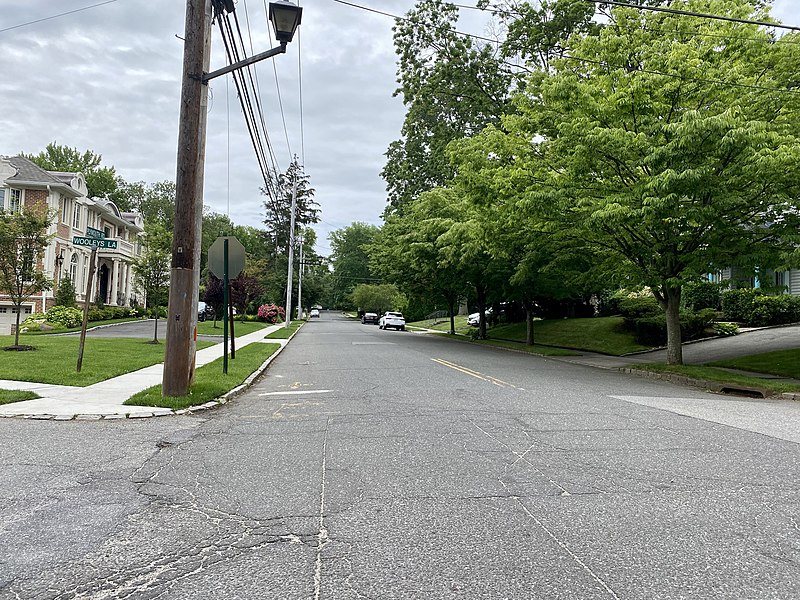 File:A Street in Great Neck Gardens, Long Island, New York.jpg