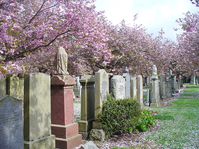 File:Aberdeen - Allenvale Cemetery - geograph.org.uk - 3968357.jpg