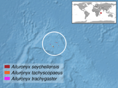 Ailuronyx sp. distribution.png