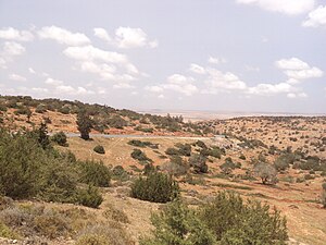 Al Marj escarpment6.JPG