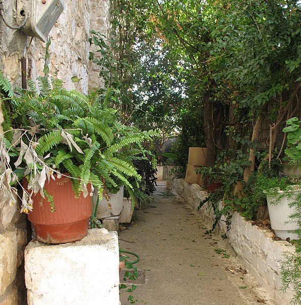 File:Alleyway in Areopoli - panoramio.jpg