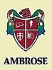 Ambrogio-120-x-163.jpg