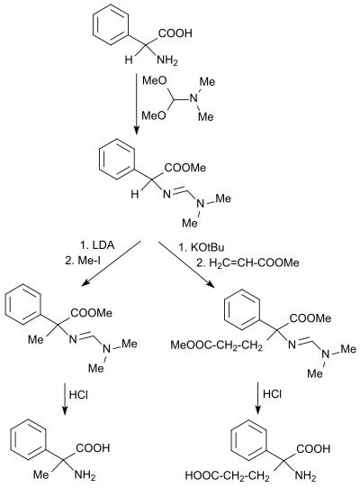 Formation of amidino esters with DMF-DMA and their alkylation