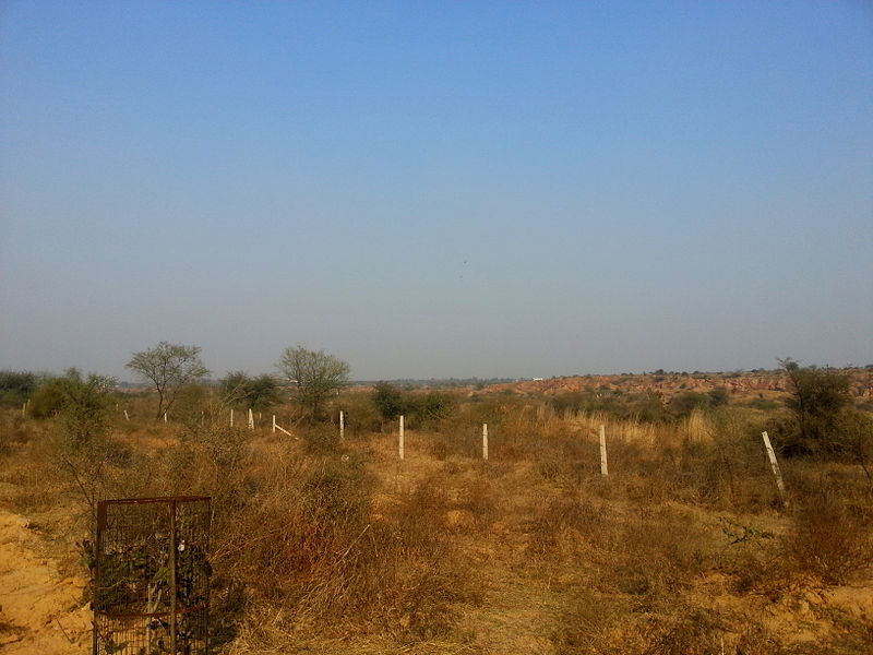 File:Aravali Biodiversity Park, Gurgaon.jpg