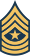 E–9 insignia