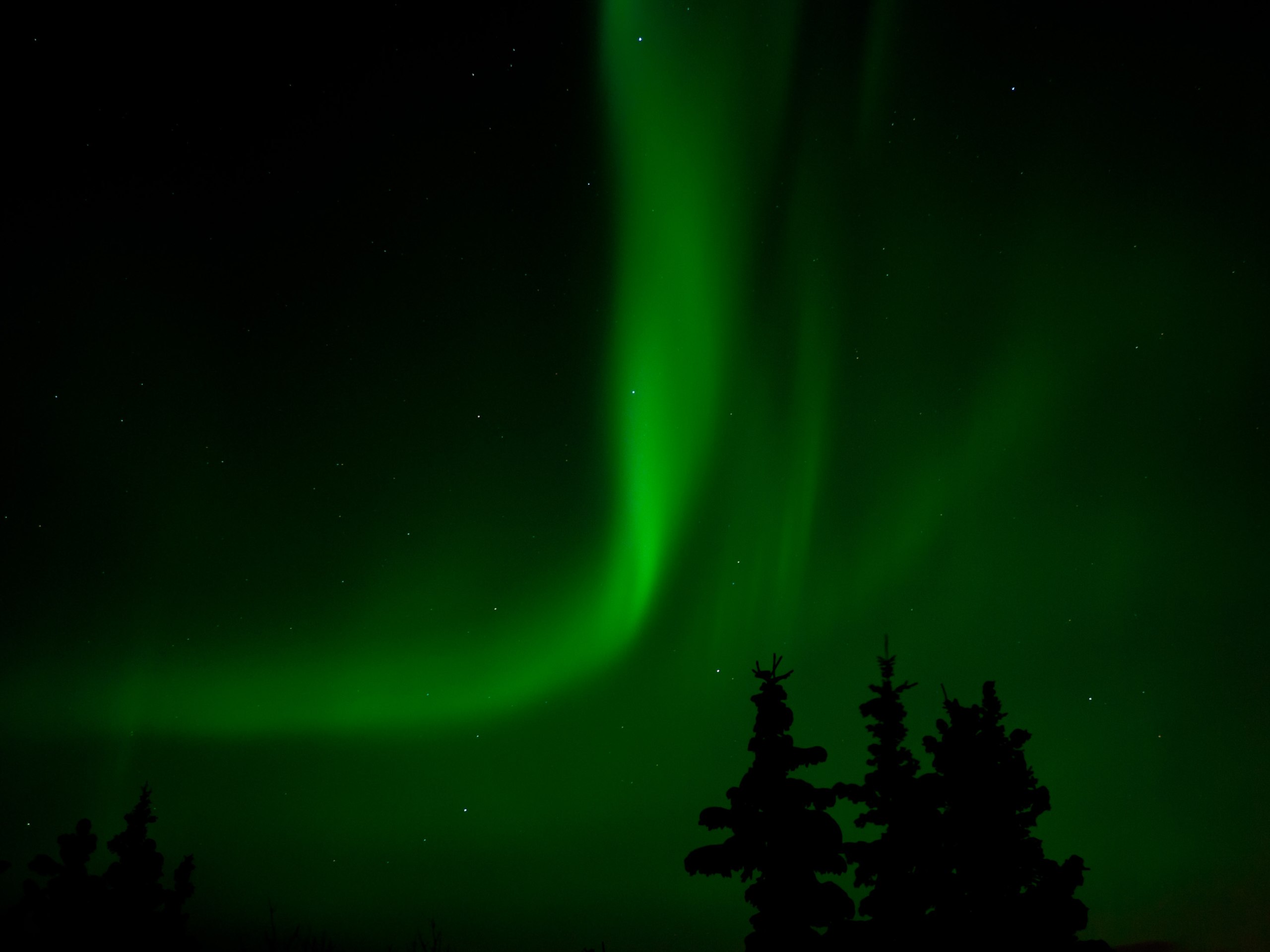 File:Aurora Borealis in Kangiqsualujjaq.png - Wikimedia Commons