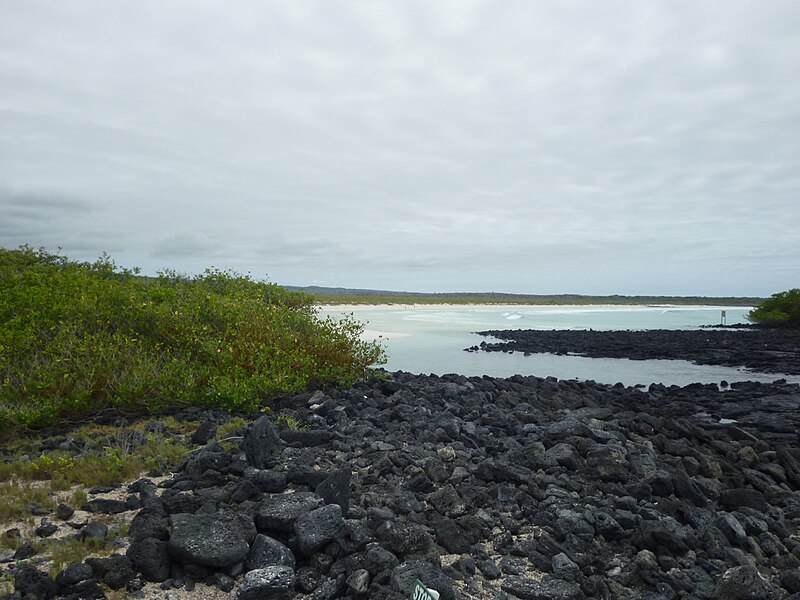 File:Bahía Tortuga Situado en la isla de Santa Cruz Galapagos foto por Alvaro Sevilla Design.JPG