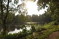 Teich der Ballerbek kurz vor der Mündung