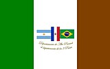 Bandera del Departamento de Alto Paraná.JPG
