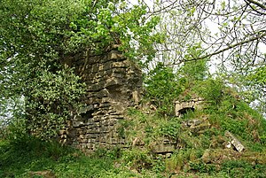 Руины кожуры колокольного дерева