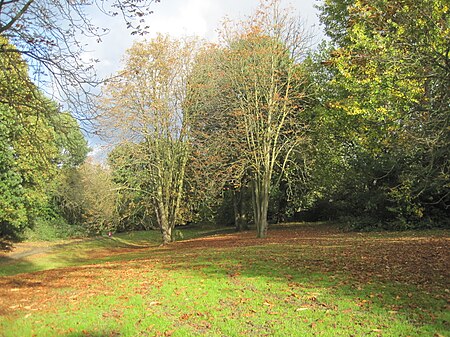 Belmont Open Space Cockfosters