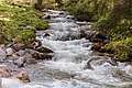 * Nomination Mountain tour from S-charl a place in the Swiss canton Graubünden to Alp Sesvenna. Rapids in the Clemgia, tributary of the Inn. --Famberhorst 06:12, 20 October 2019 (UTC) * Promotion  Support Good quality. --Manfred Kuzel 06:21, 20 October 2019 (UTC)