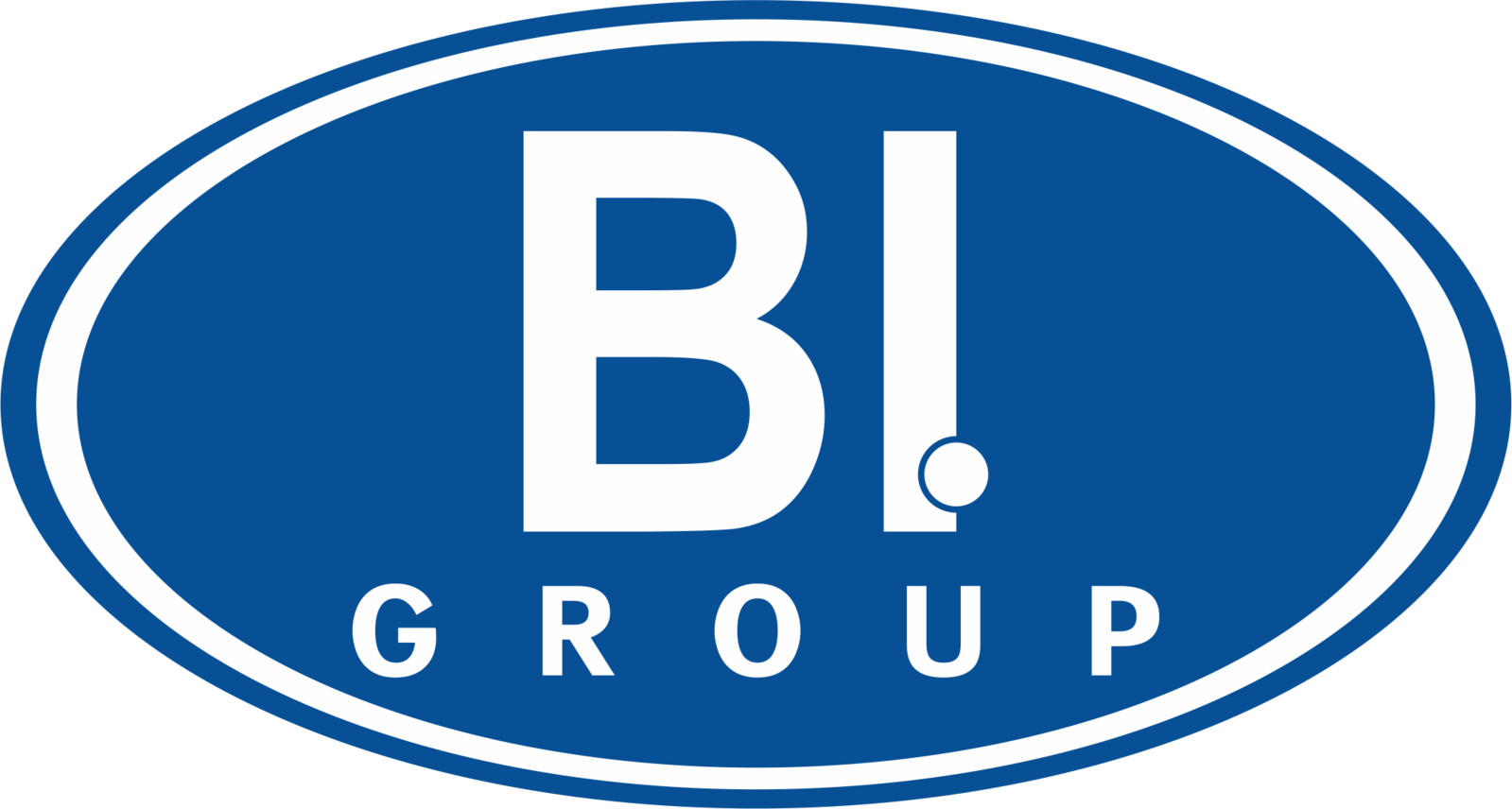 Bi Group. Bi Group компания. Bi лого. Би ай групп логотип. Bi file