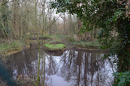 Bierton Clay Pit 2