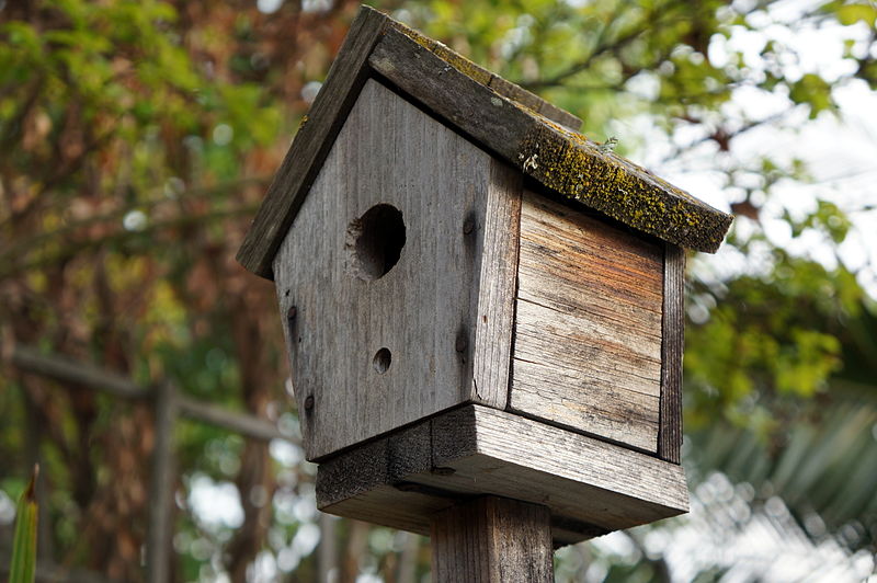 File:Birdhouses 3 2014-03-28.jpg