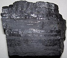 Bituminous coal (Pikeville Formation, Middle Pennsylvanian, Kentucky, USA) Bituminous coal (Pikeville Formation, Middle Pennsylvanian; Rt. 15 roadcut north of Jackson, Kentucky, USA) 1.jpg