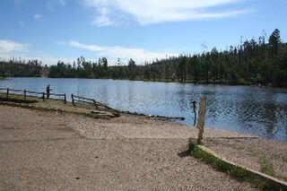 <span class="mw-page-title-main">Black Canyon Lake (Arizona)</span> Lake in Navajo County, Arizona, United States