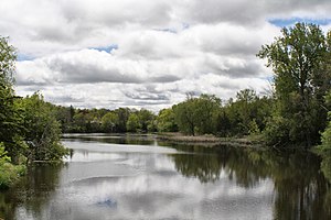 Black River (York Region)