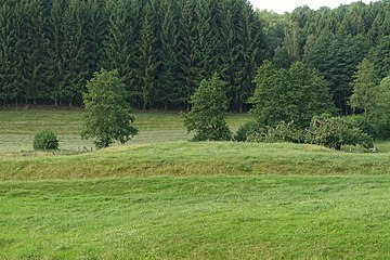 Datei:Blick_auf_den_Burgplatz_der_Wüstung_Königshagen.jpg