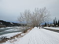 Bow River Pathway remains popular with joggers and cyclists all winter
