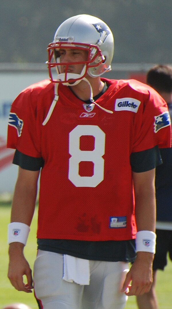 Hoyer with the Patriots in 2009