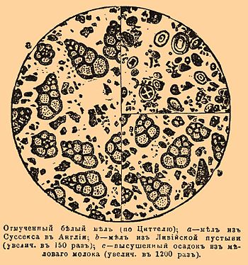 Отмученный белый мел (по Циттелю); а — мел из Суссекса в Англии; b — мел из Ливийской пустыни (увелич в 150 раз); с — высушенный осадок из мелового молока (увелич. в 1200 раз).