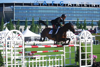 <span class="mw-page-title-main">Bruno Chimirri</span> Italian equestrian