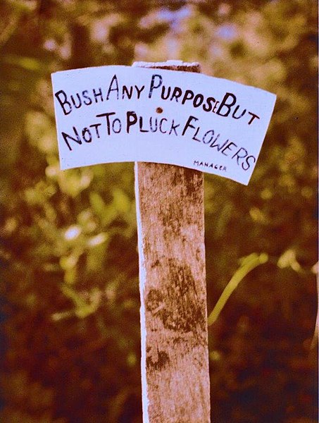 File:Bush Any Purpose But Not to Pluck Flowers. Sign in garden, Kunming.jpg