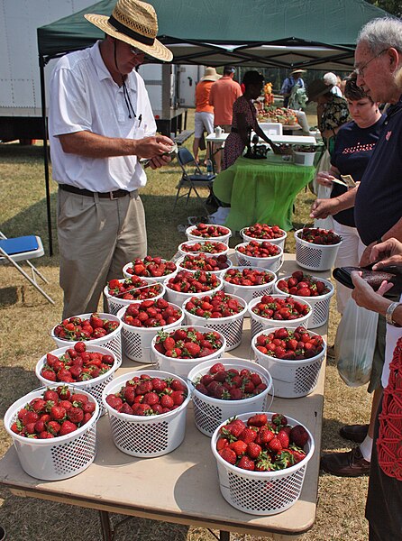 File:Buying Strawberries at a Farmers Market.jpg