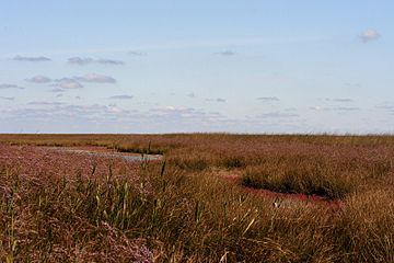 Fájl:Byriuchyi_Island.jpg