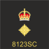 Police Ranks Of The United Kingdom