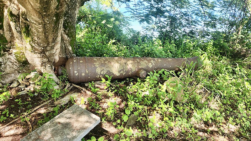 File:Cannon at Fort Haldane.jpg