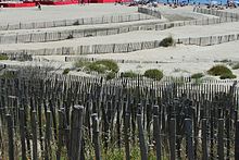 Réseau de ganivelles protégeant la plage Richelieu contre l'érosion éolienne.